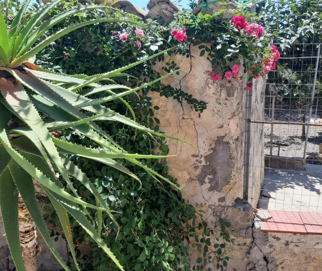 La Casa In Campagna Chiesa Nuova (Sicily) Exterior foto